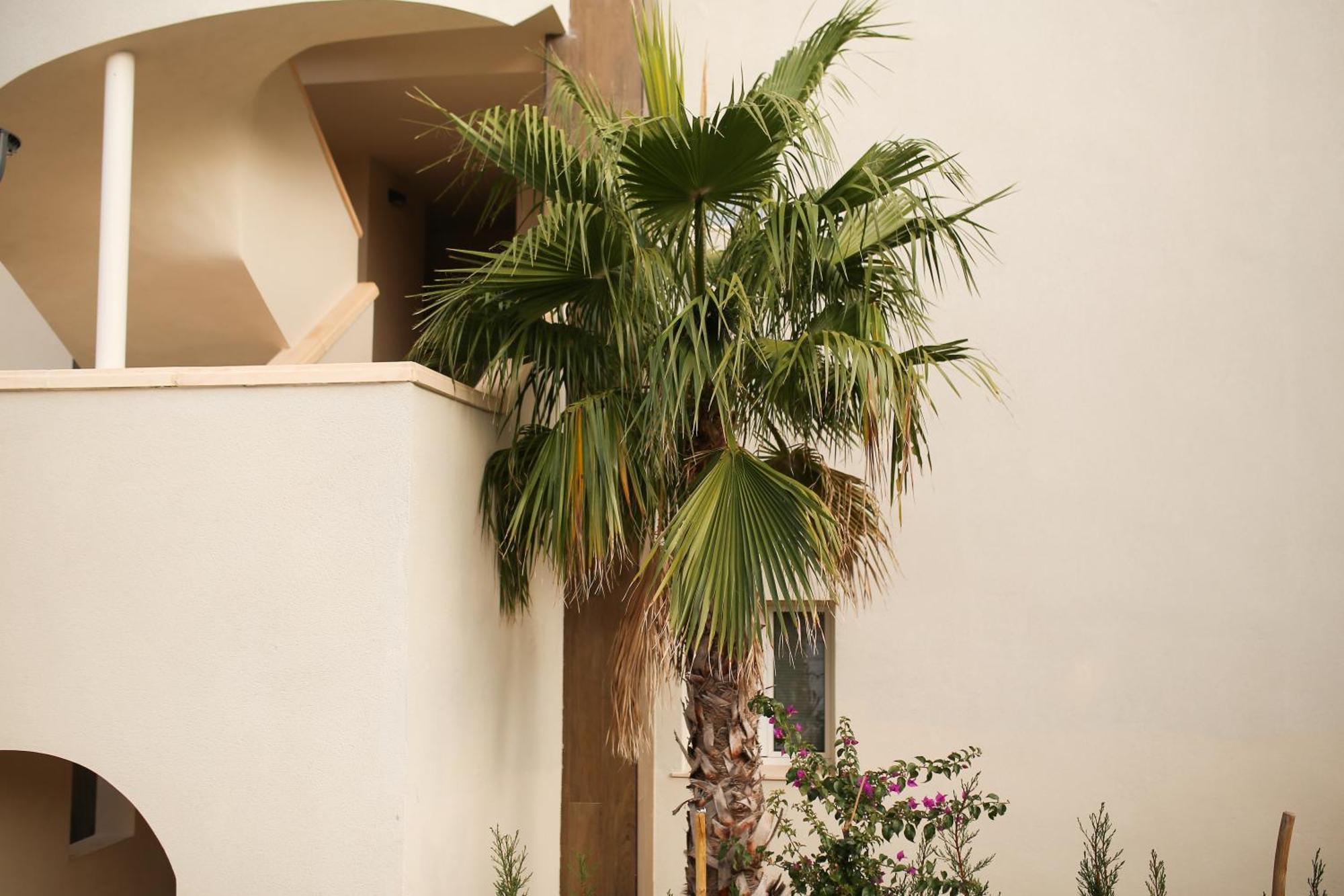 Apartamento Modern Flat With Montgo View Dénia Exterior foto